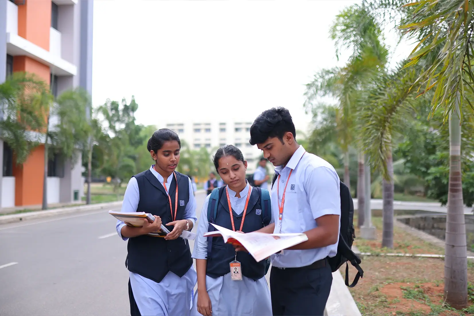 Students studying in a group
